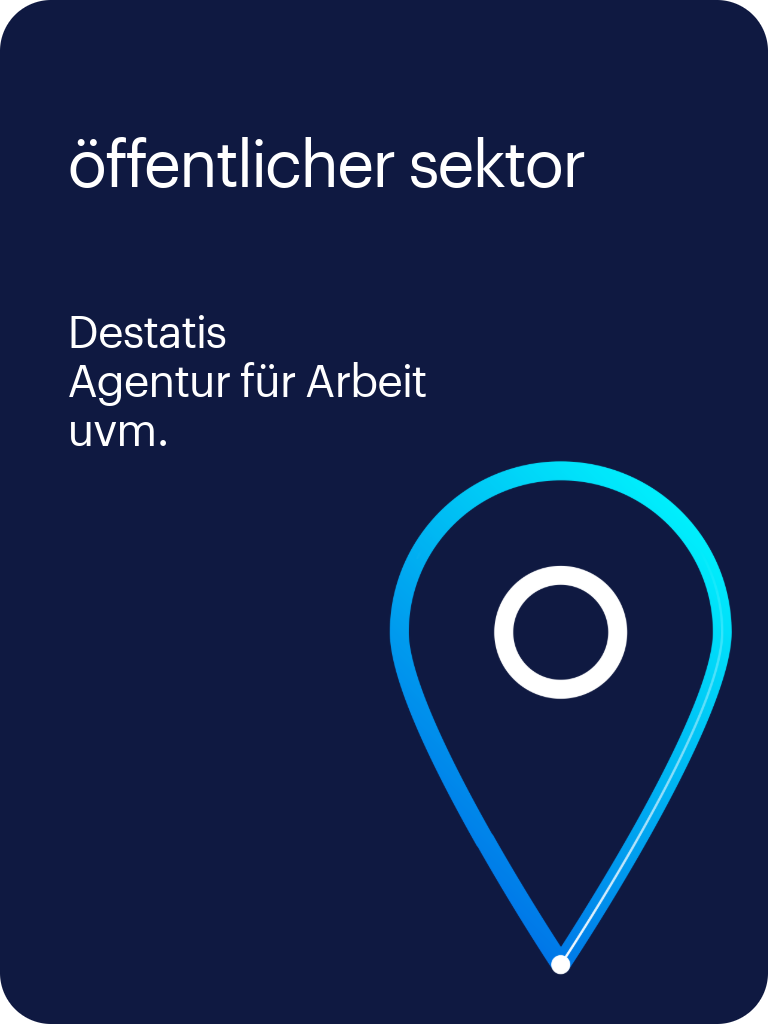 public sektor