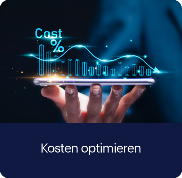 Kosten optimieren